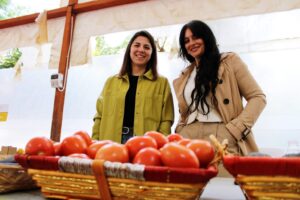Oportunity Morning Rural 2023 Algarrobo 7